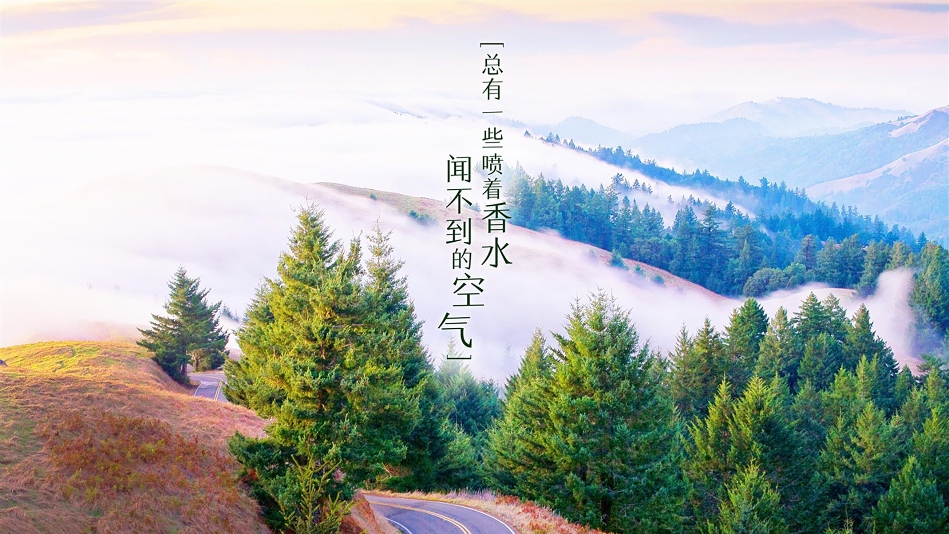 亚洲足球合作交流持续深化，中国青训水平不断迈入新台阶，中国足球 亚洲
