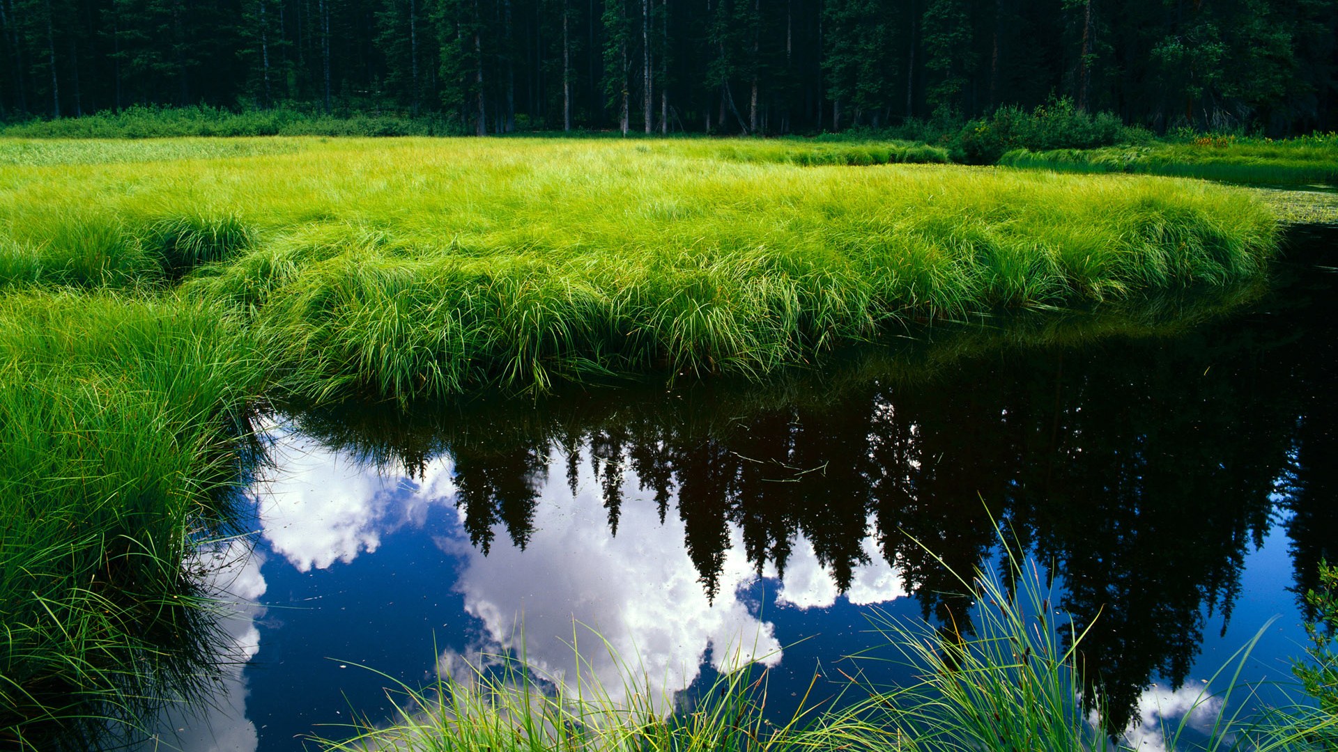 开云网页版-LEC赛区推进赛事职业认证体系，lec赛区是什么意思