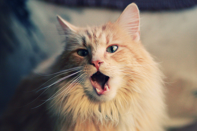 开云网页版-RNG引入智能训练设备助力选手体能提升，rng训练赛最新消息贴吧