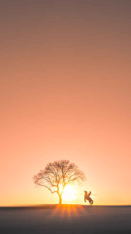 TI11冠军揭晓,战队辉煌夺冠,ti1冠军成员