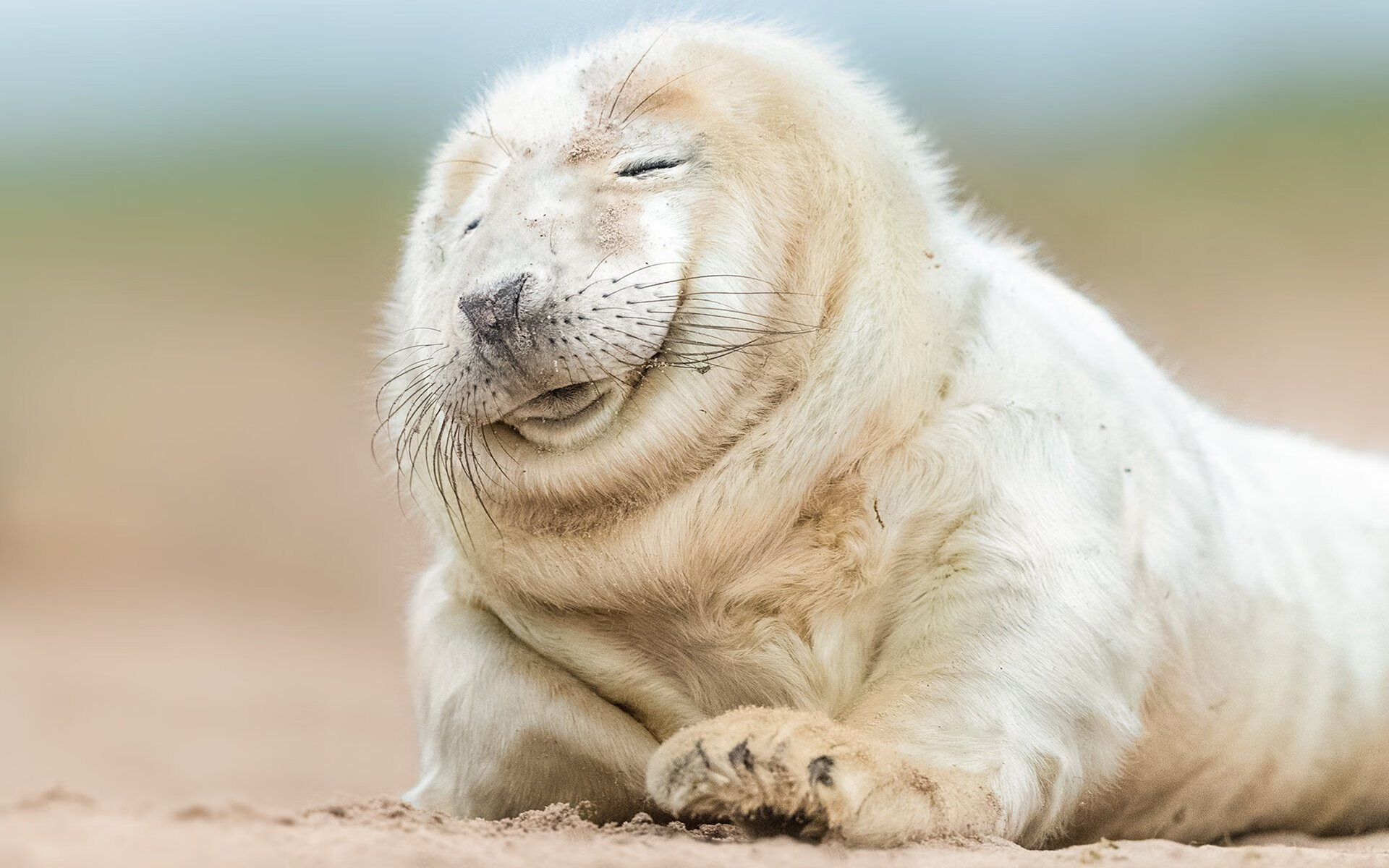 欧洲足球冠军联赛小组赛战局激烈,2020-2021欧洲足球联赛冠军