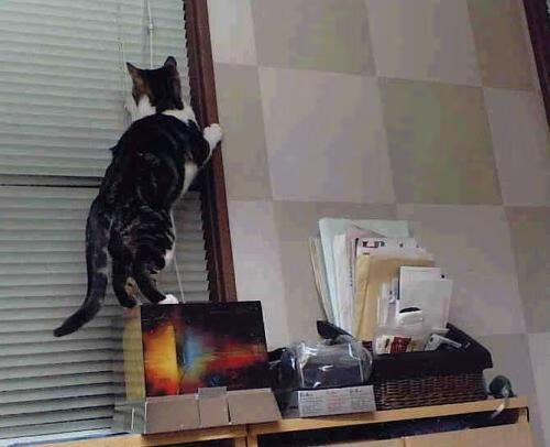 第戎遭遇主场失利,留下赛季首败,第戎是哪个国家的城市_