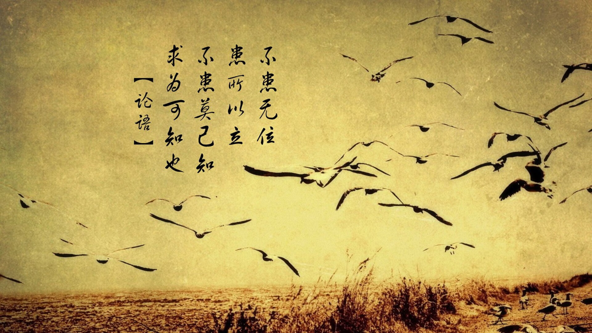 蓝军客场平切尔西，防守表现出色，蓝军客场平切尔西,防守表现出色吗