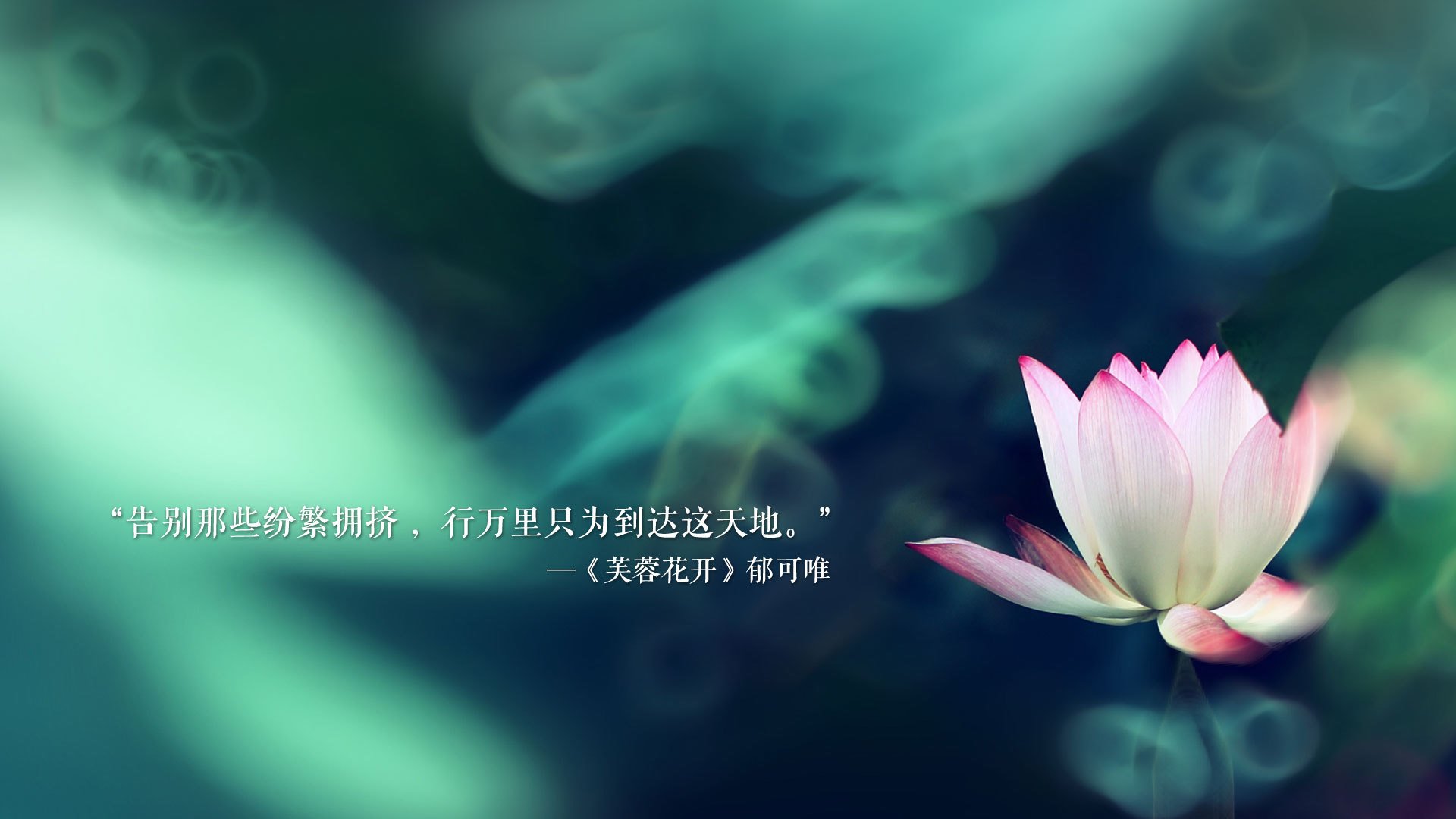 开云中国大陆-雷霆进攻多点开花轻取对手，雷霆进攻多点开花轻取对手怎么办