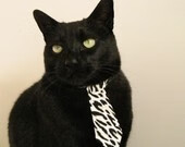 中国青少年篮球运动员体能发展特点分析,中国青少年篮球运动员体能发展特点分析