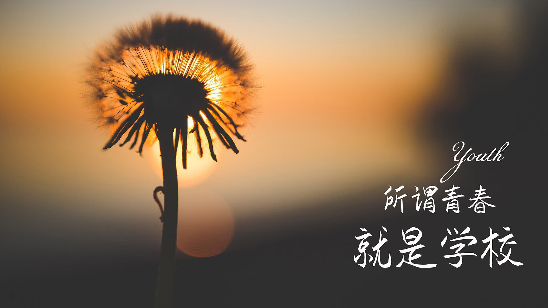 中超年度传控关键回合成功率趋势，中超控股新闻
