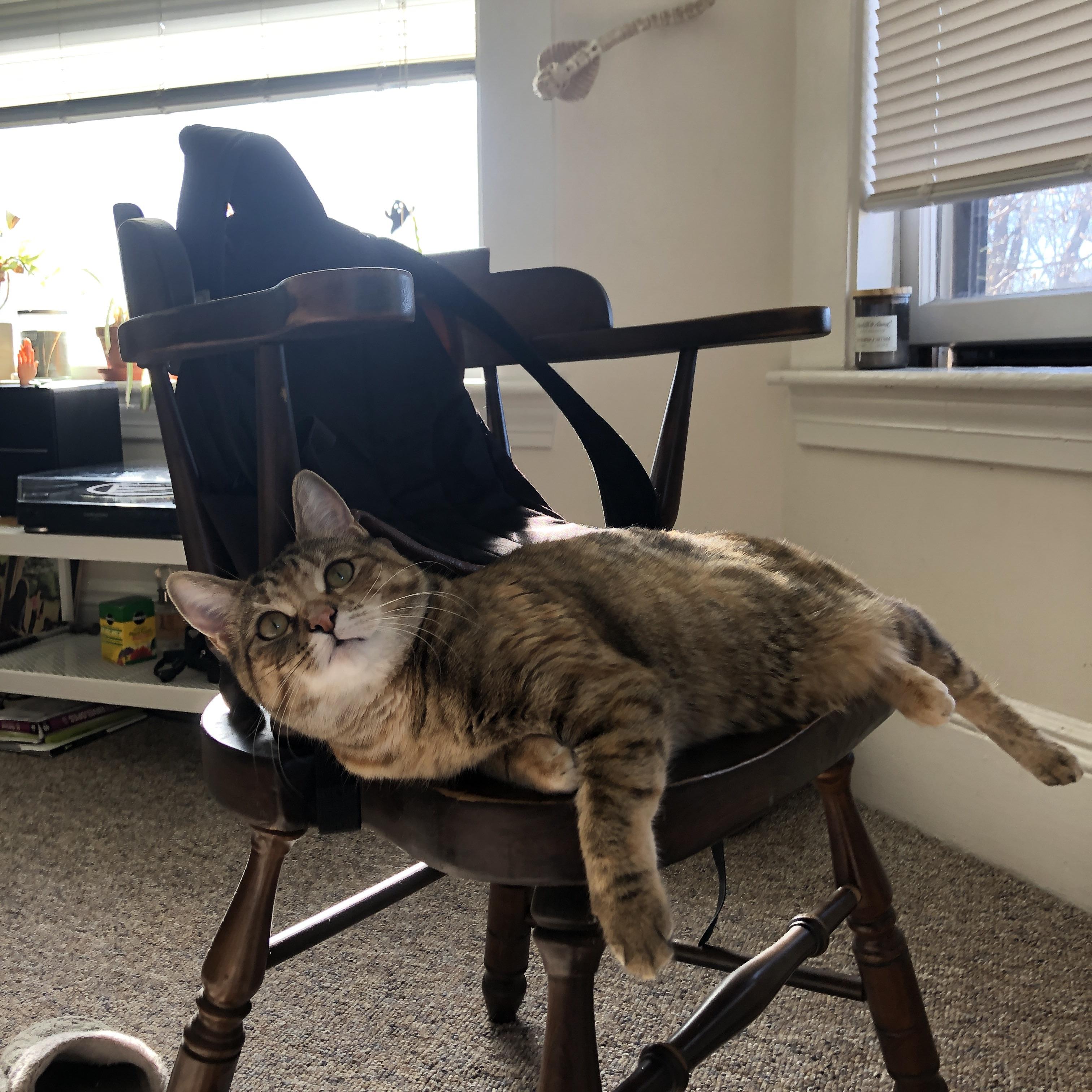 俱乐部管理体制如何影响球队稳定性,俱乐部体系的形成