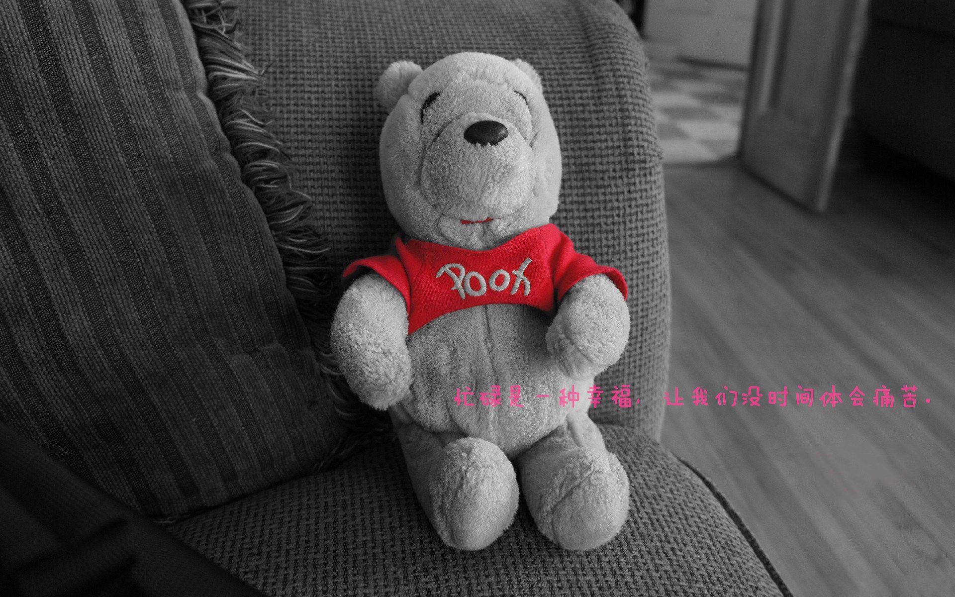 kaiyun中国官方网站-女子仰泳实现赛季大满贯，女子200仰泳