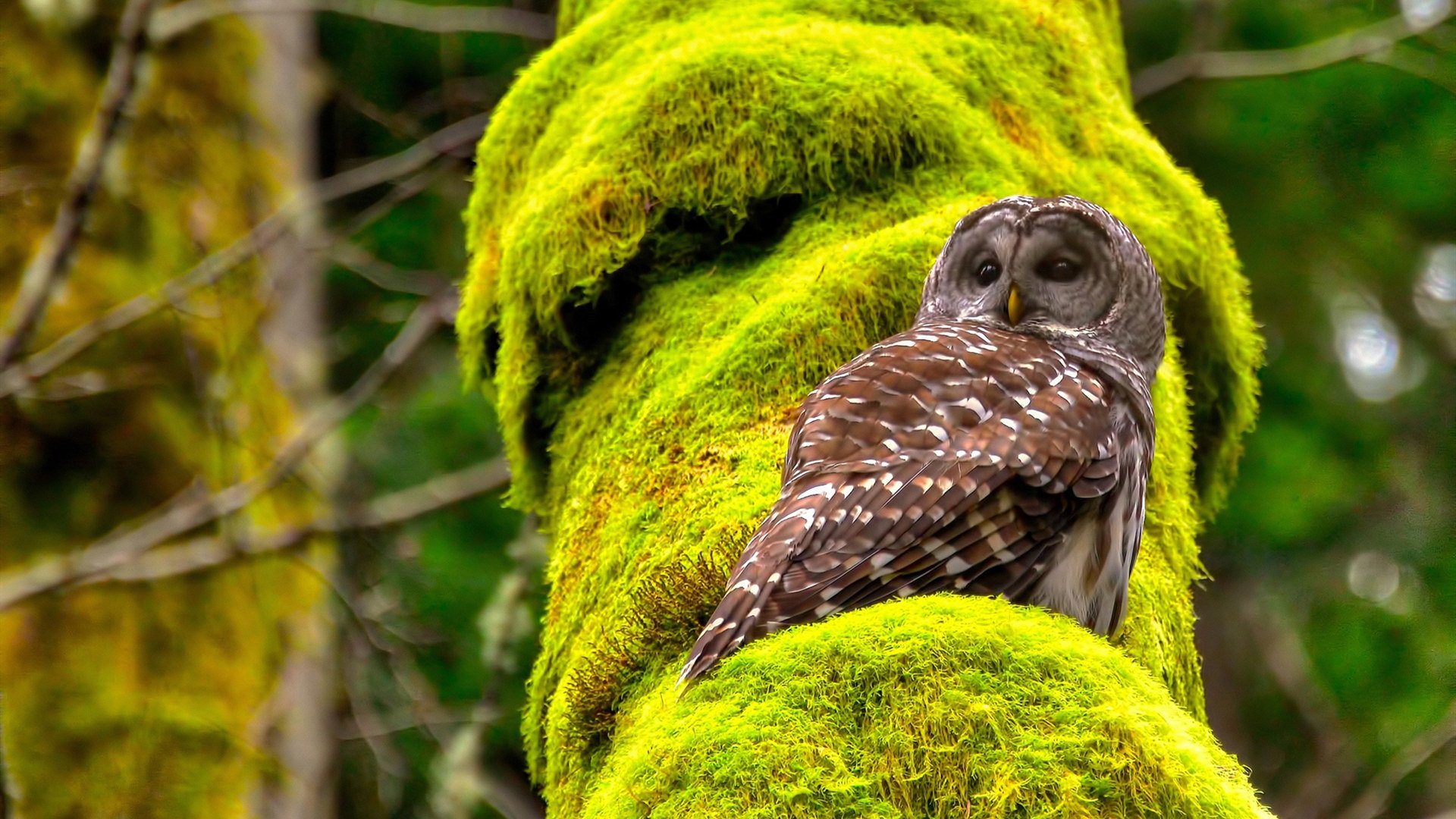足球青训跨区域交流营激发潜力选手涌现,足球青训城市