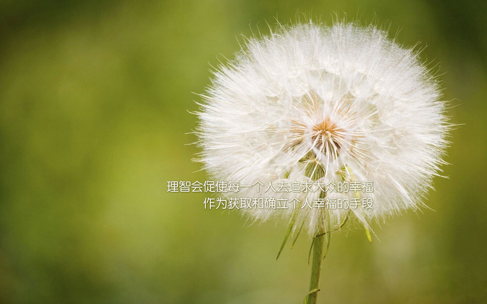 Kaiyun官方登录入口-世界杯激情不断：精彩片段，永不落幕！，世界杯锦集视频