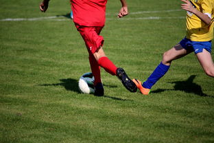 kaiyun官方网站-中国足球俱乐部与国际知名足球学院合作，中国足球俱乐部和国家队