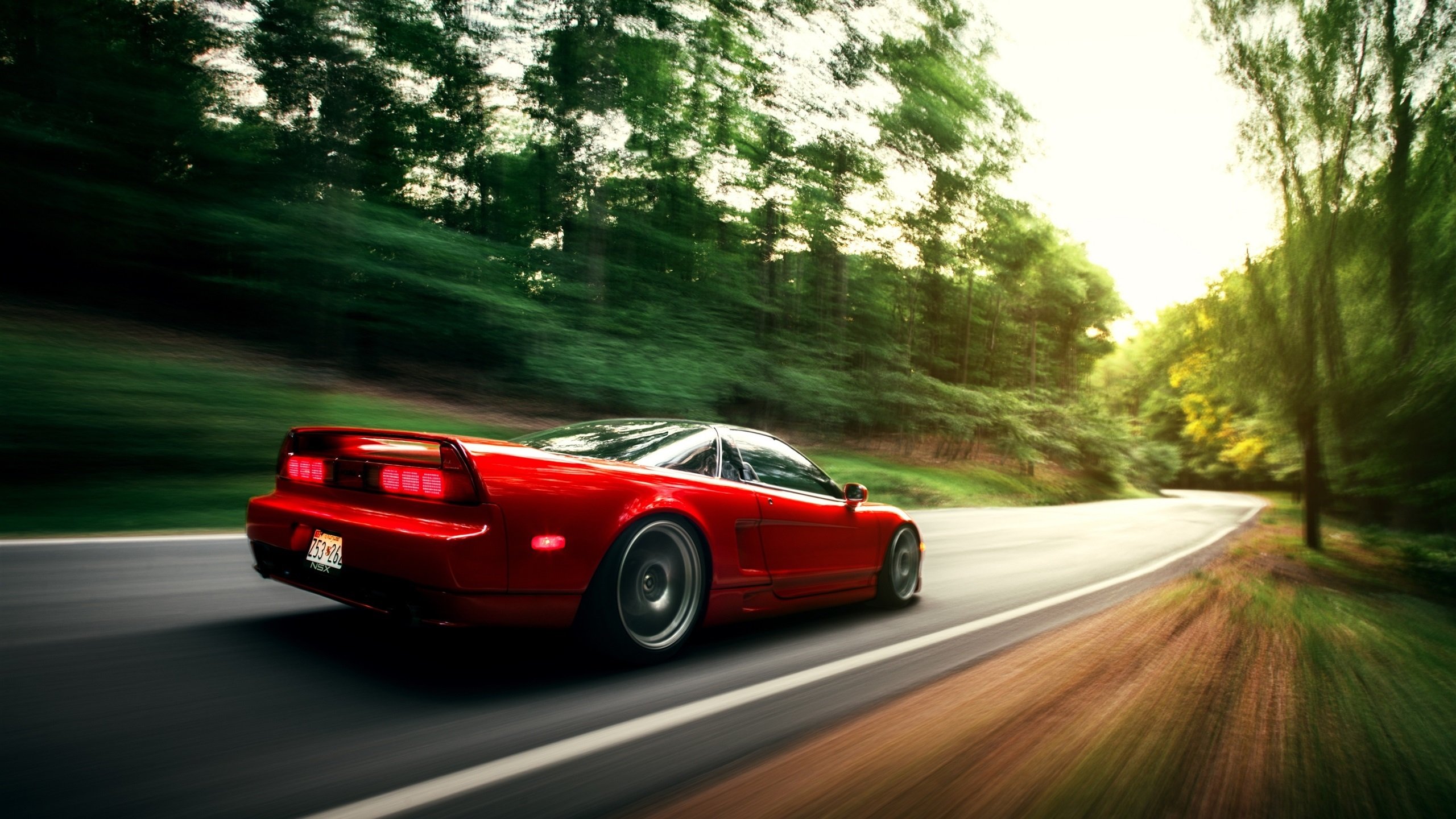 仰泳冲刺中立代表队A选手排名上升，仰泳中国队