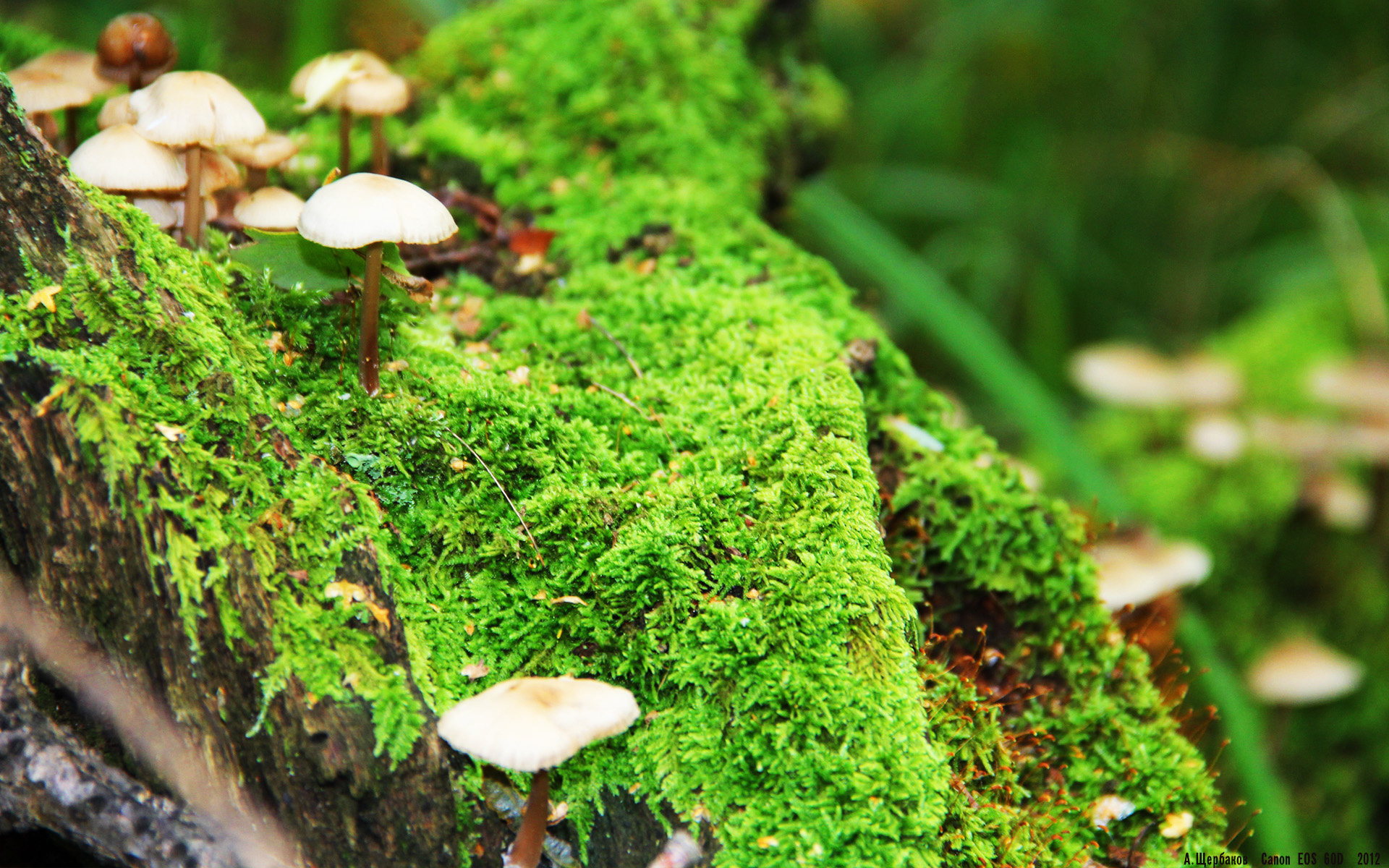 体育品牌赞助青训项目开展装备公益发放计划,体育用品捐款排名