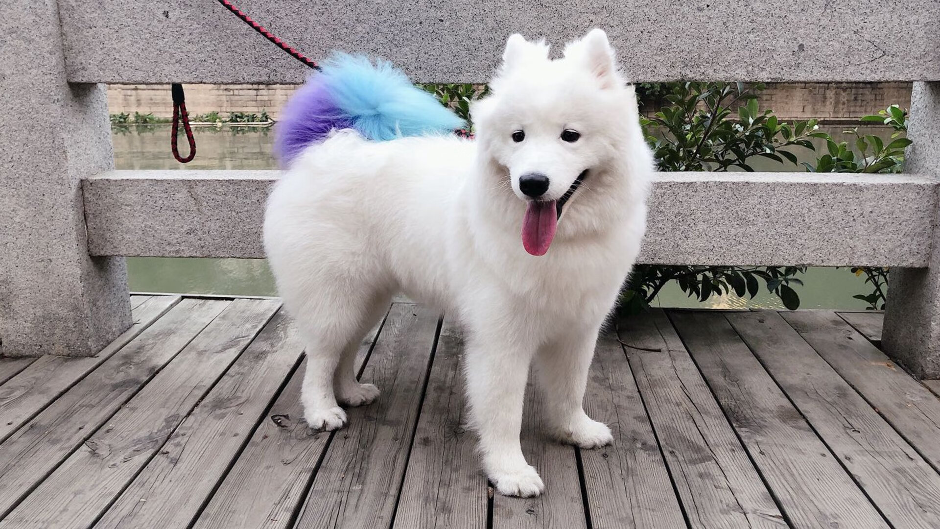 恩多比·恩乔的表现一直备受瞩目,他为南非队提供了无限可能,恩多什么意思