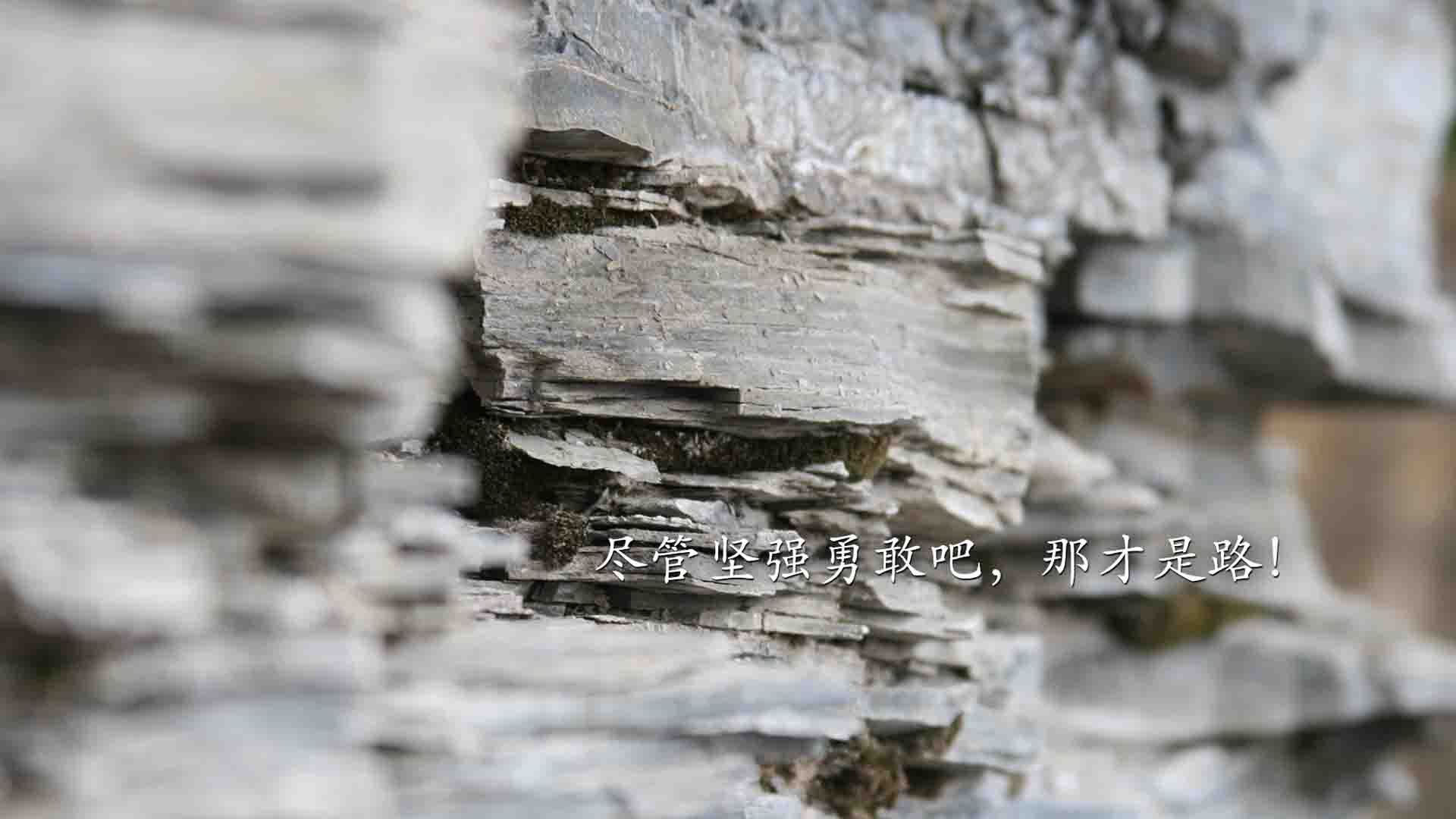 英超激烈争夺,豪门竞争愈发白热化