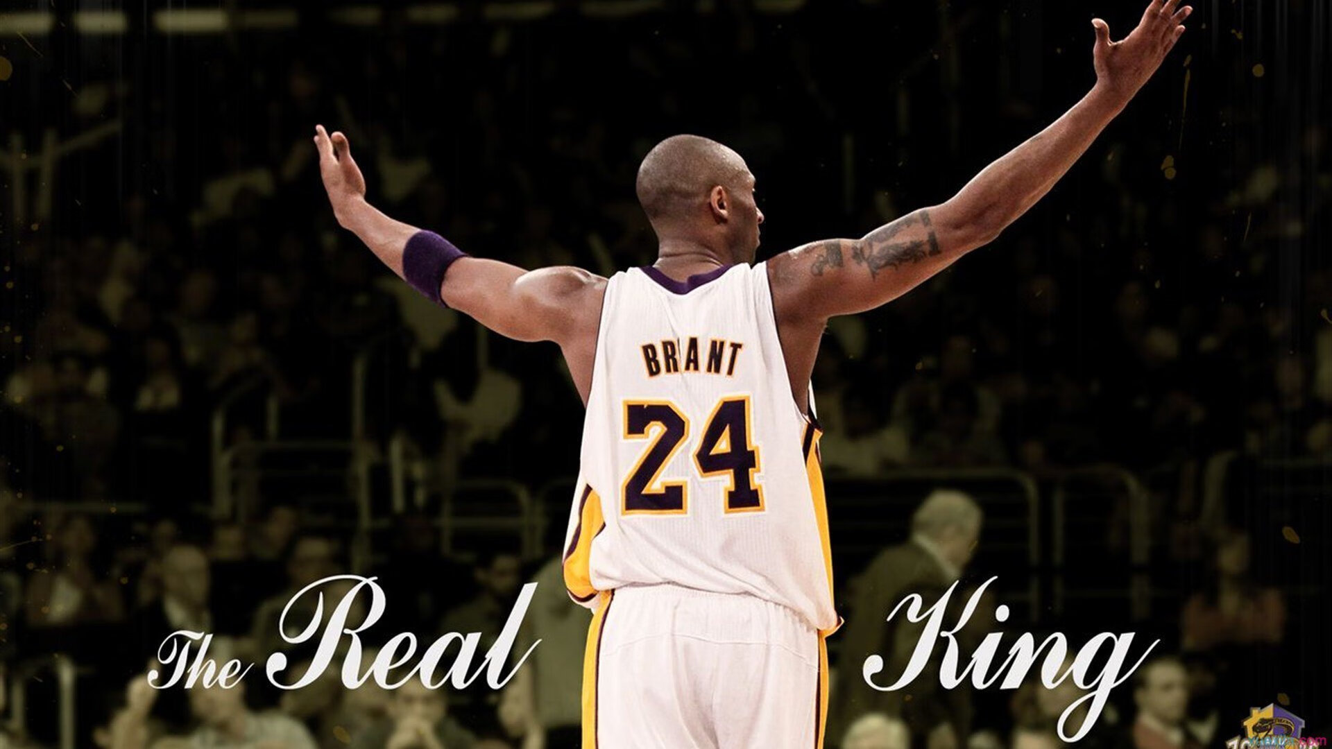 电竞周边展销会,限量版手办等你来抢!,电竞周边报告